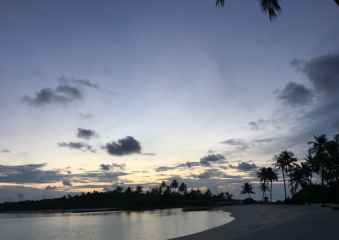 Bild Malediven - Einmal Urlaub im Paradies, bitte! Reisebericht